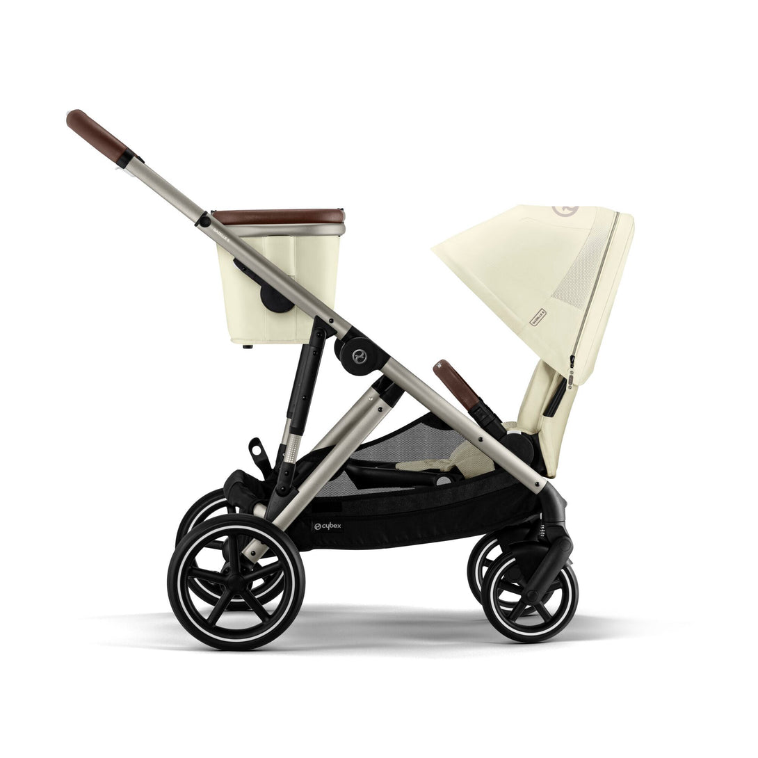 Seashell Beige (Taupe Frame)