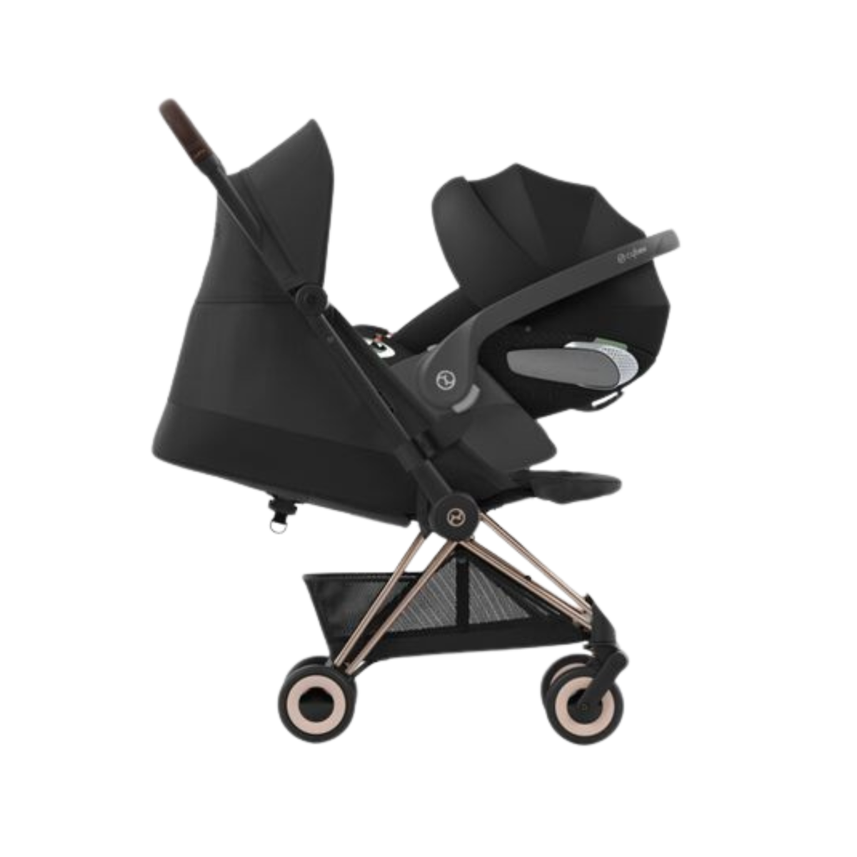 Coya 2025 + Cloud T i- Size